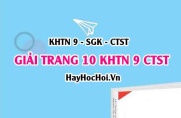 Giải KHTN 9 trang 10 Chân trời sáng tạo SGK